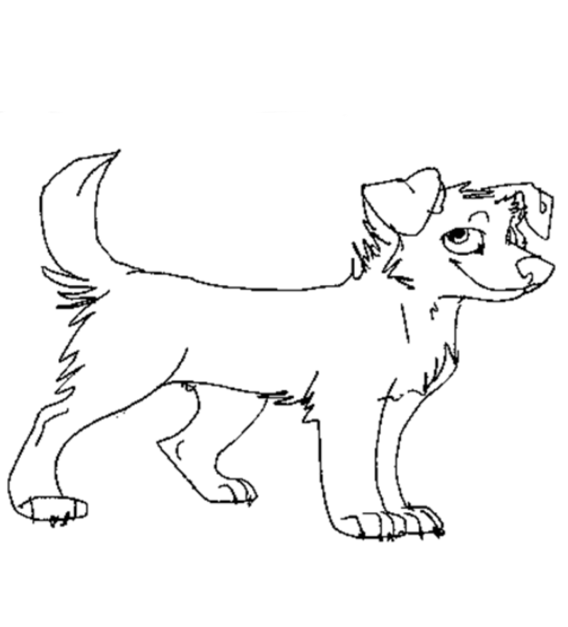 800x882 My Old Dog Lineart 2 By 96blackarrow