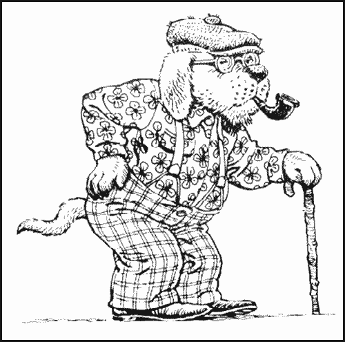 500x495 Doggie Corral Pet Supplies Geriatric Problems In Dogs