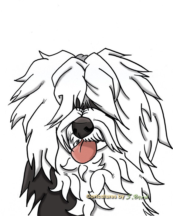 570x713 Items Similar To 8x10 Old English Sheepdog (Long Hair Version