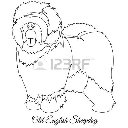 450x450 Old English Sheepdog Outline Vector Illustration Royalty Free