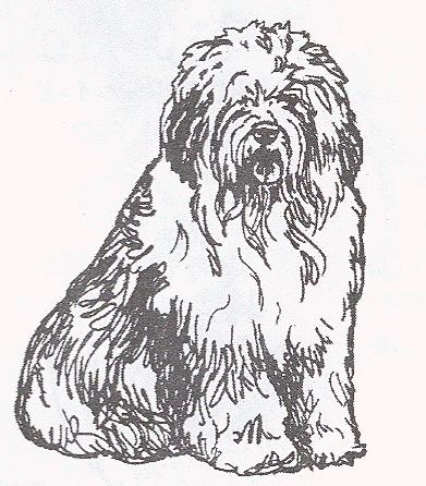 391x446 Old English Sheepdog Page