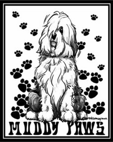 230x290 Old English Sheepdog