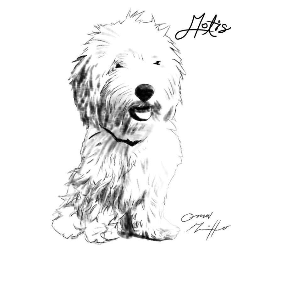 894x894 The Dog The Princess By Backterhamnd