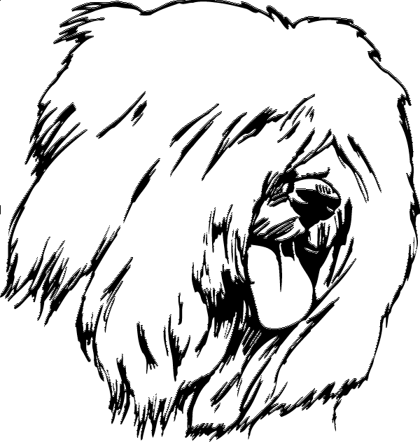 600x631 English Sheepdog Decal