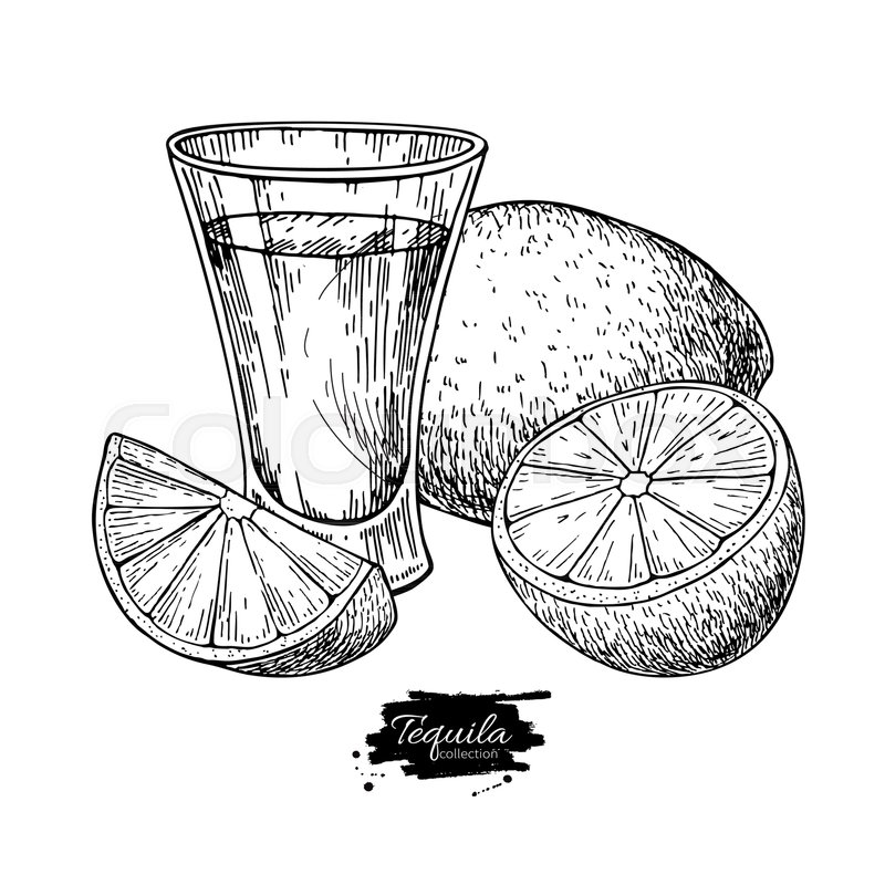 800x800 Shot Glass Drawing. Tequila, Vodka, Cocktail, Alcohol Drink Vector
