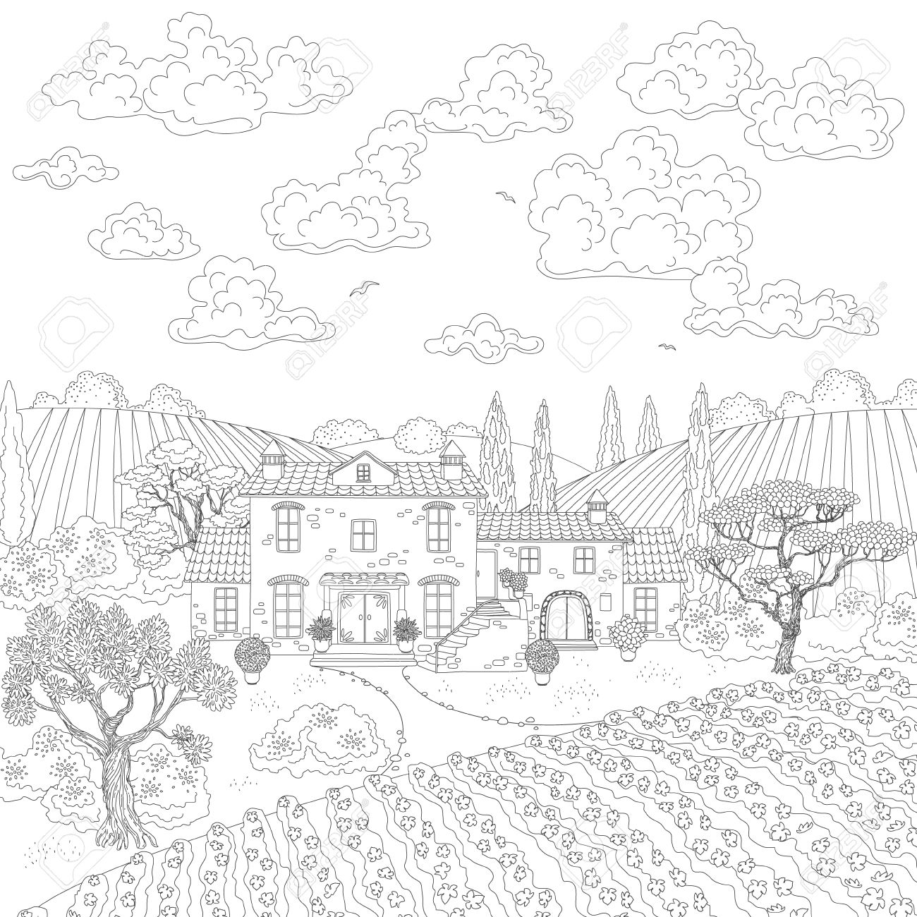 1300x1300 Contoured Summer Landscape With House, Vineyard, Trees And Clouds