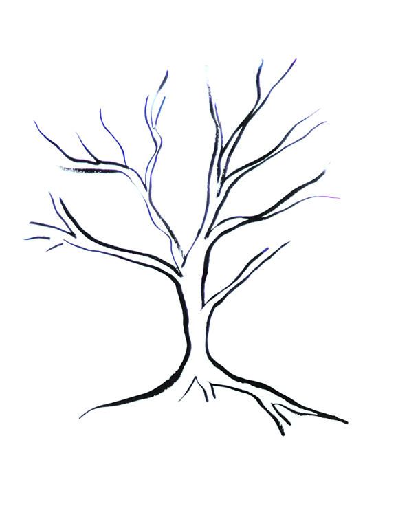 576x765 Drawn Tree Simple