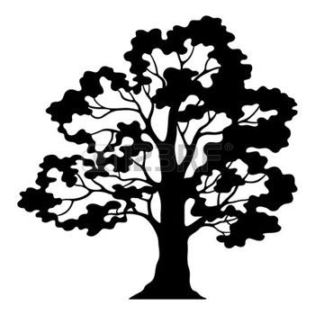 350x350 Free Clipart Line Drawing Live Oak Tree