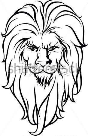 293x451 Old Lion Tattoo Design On Paper