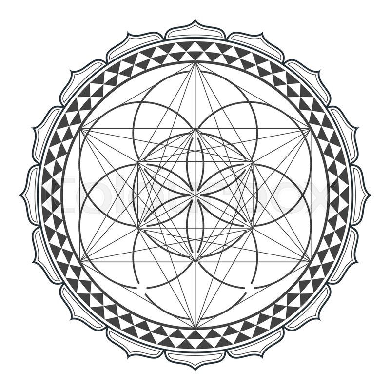 800x800 Wine, Drink, Background, Banner, Vector, Illustration, Restaurant