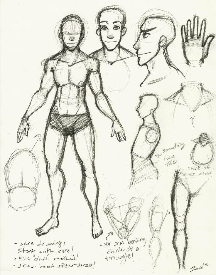 736x936 166 Best Drawing Ref The Body Images On Drawing