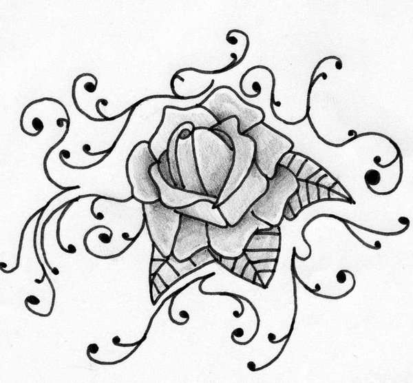 600x556 Old School Rose By Alex Fyfe