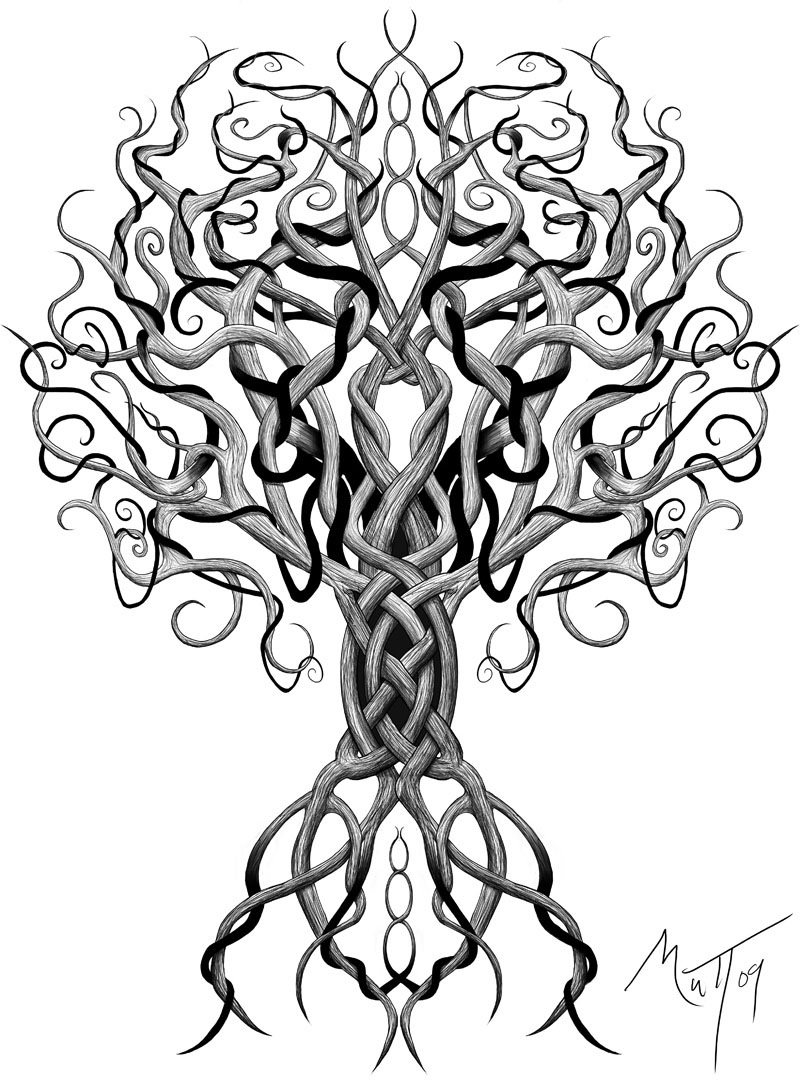 Old Tree Drawing