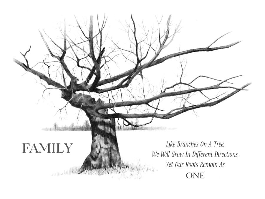 900x678 Family Tree Drawing Ancestral Charts Family Trees