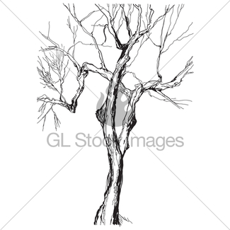 325x325 Old Tree Shabby Paper Pen Drawing Gl Stock Images