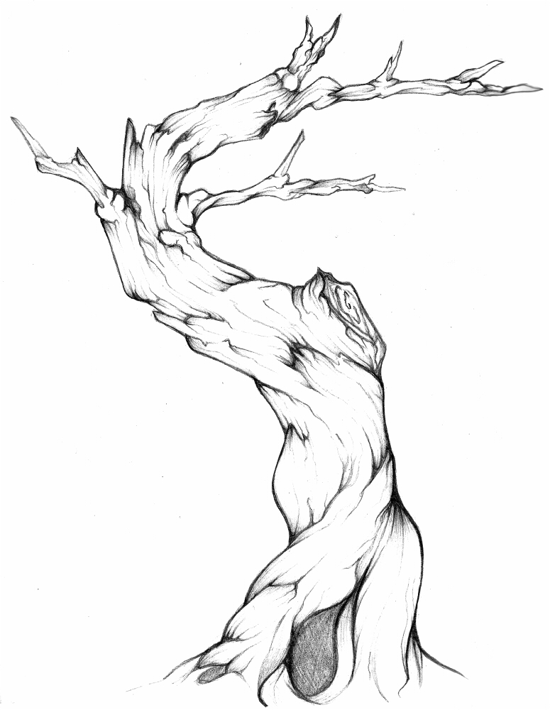 775x1000 Old Tree By Undeadkitty13