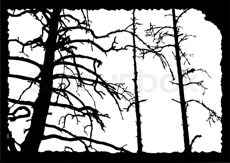 800x565 Vector Drawing Old Tree On Torn Sheet Of Paper Stock Vector