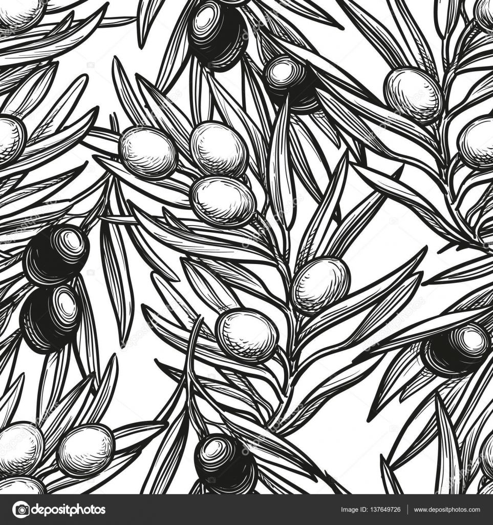 963x1024 Seamless Pattern With Olive Branch Stock Vector Alhontess