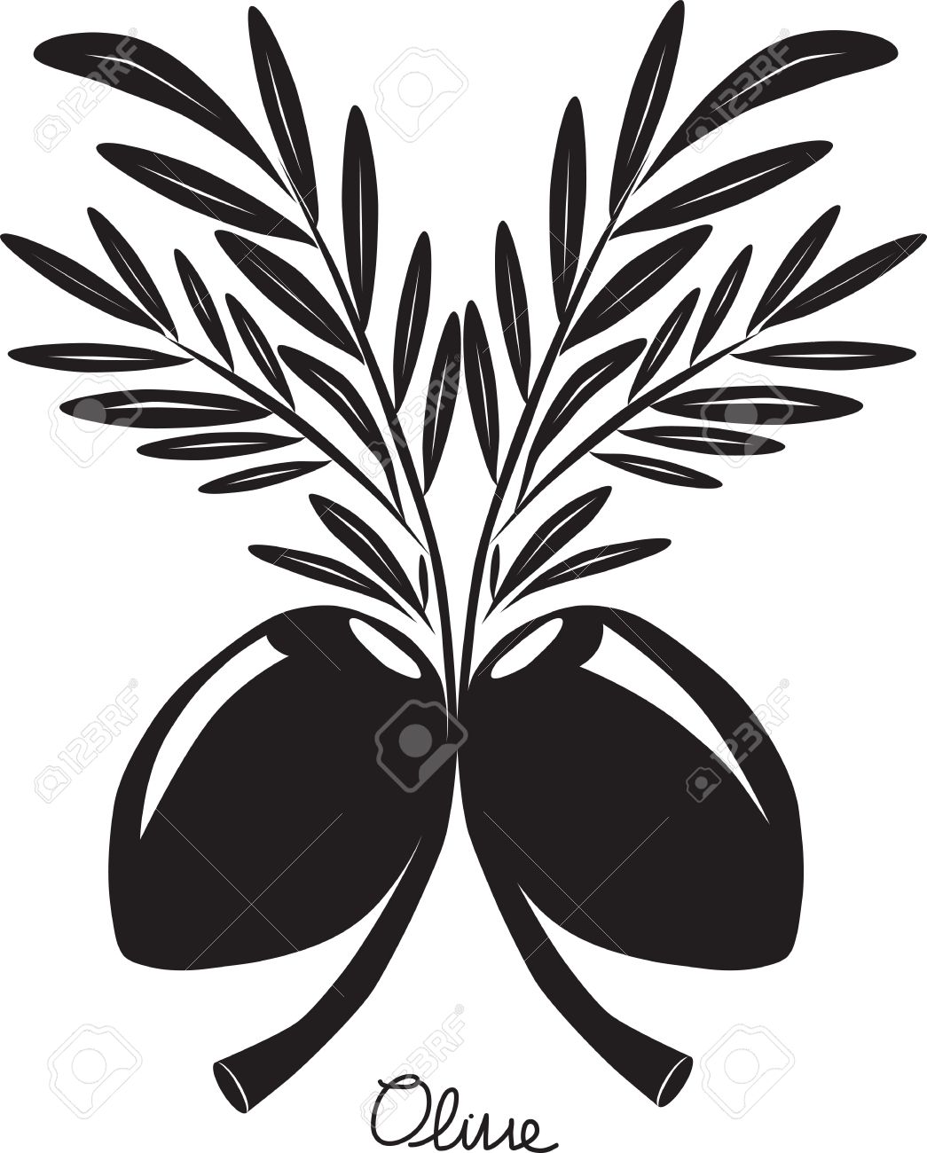 1045x1300 Vector Drawing Sketch Of Olive Tree Branch Royalty Free Cliparts