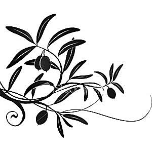 300x300 Ulivo Disegno Bianco E Nero