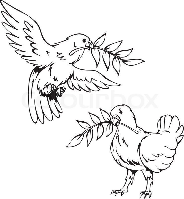 742x800 Doves With Olive Branches Stock Vector Colourbox