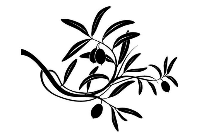 680x472 Image Of Olive Tree Clipart