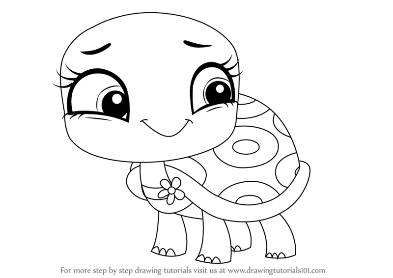 800x566 Learn How To Draw Olive Shellstein From Littlest Pet Shop