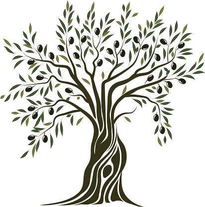 412x418 Olive Tree Vector Art Illustration Vectors Vector