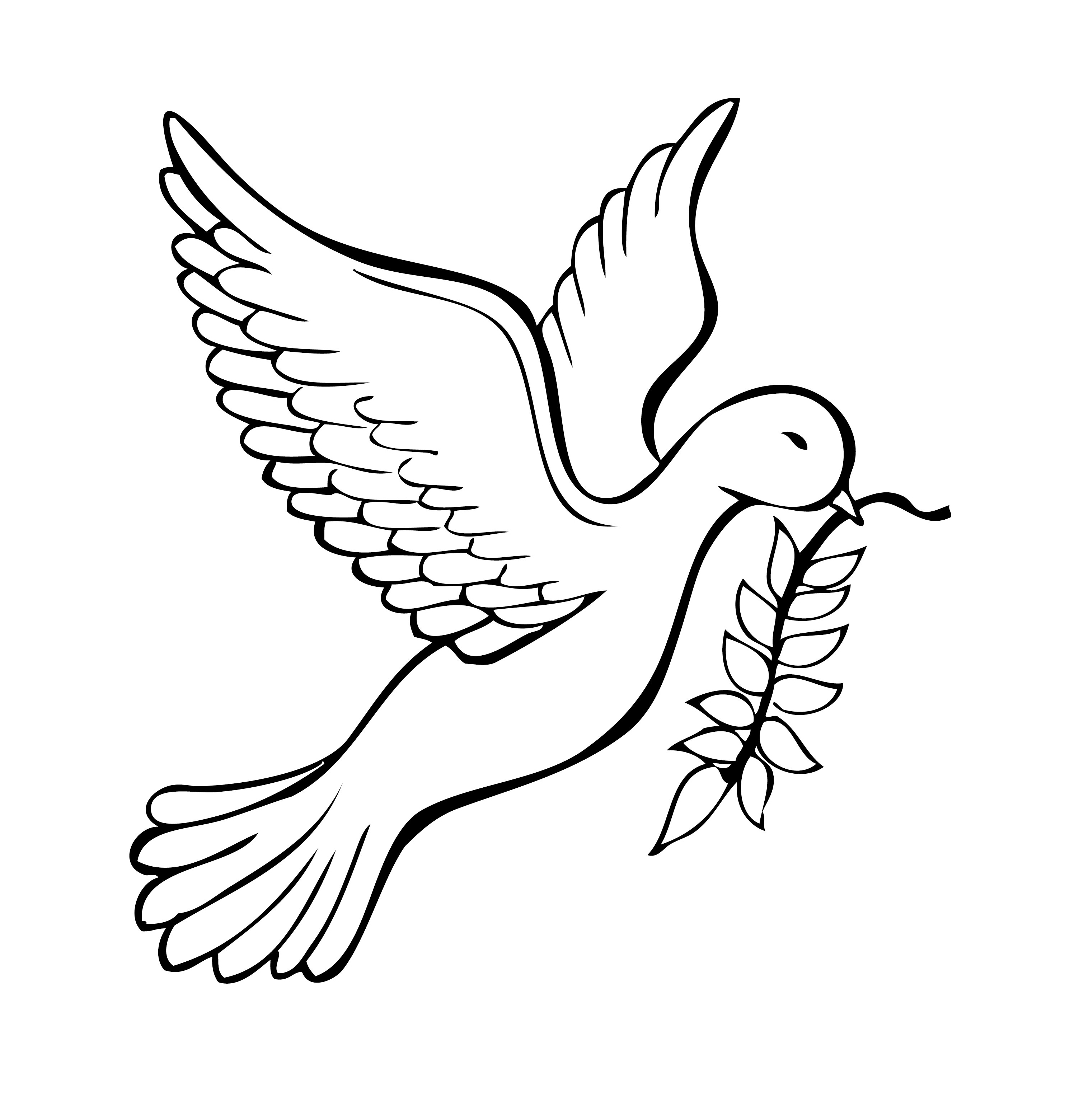 2993x3121 Bird Olivia Linn