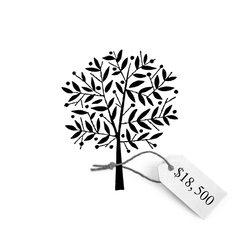 850x850 Olive Tree Drawing