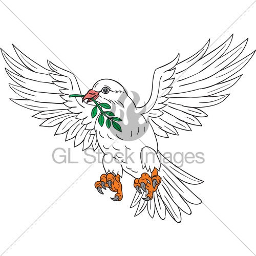 500x500 Dove With Olive Leaf Drawing Gl Stock Images