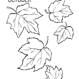 268x268 Olive Leaf Coloring Page Kids Drawing And Coloring Pages