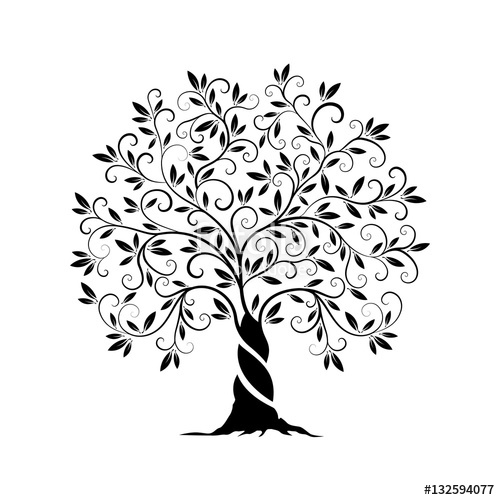 500x500 Olive Tree Outline Curl Silhouette Stock Image And Royalty Free