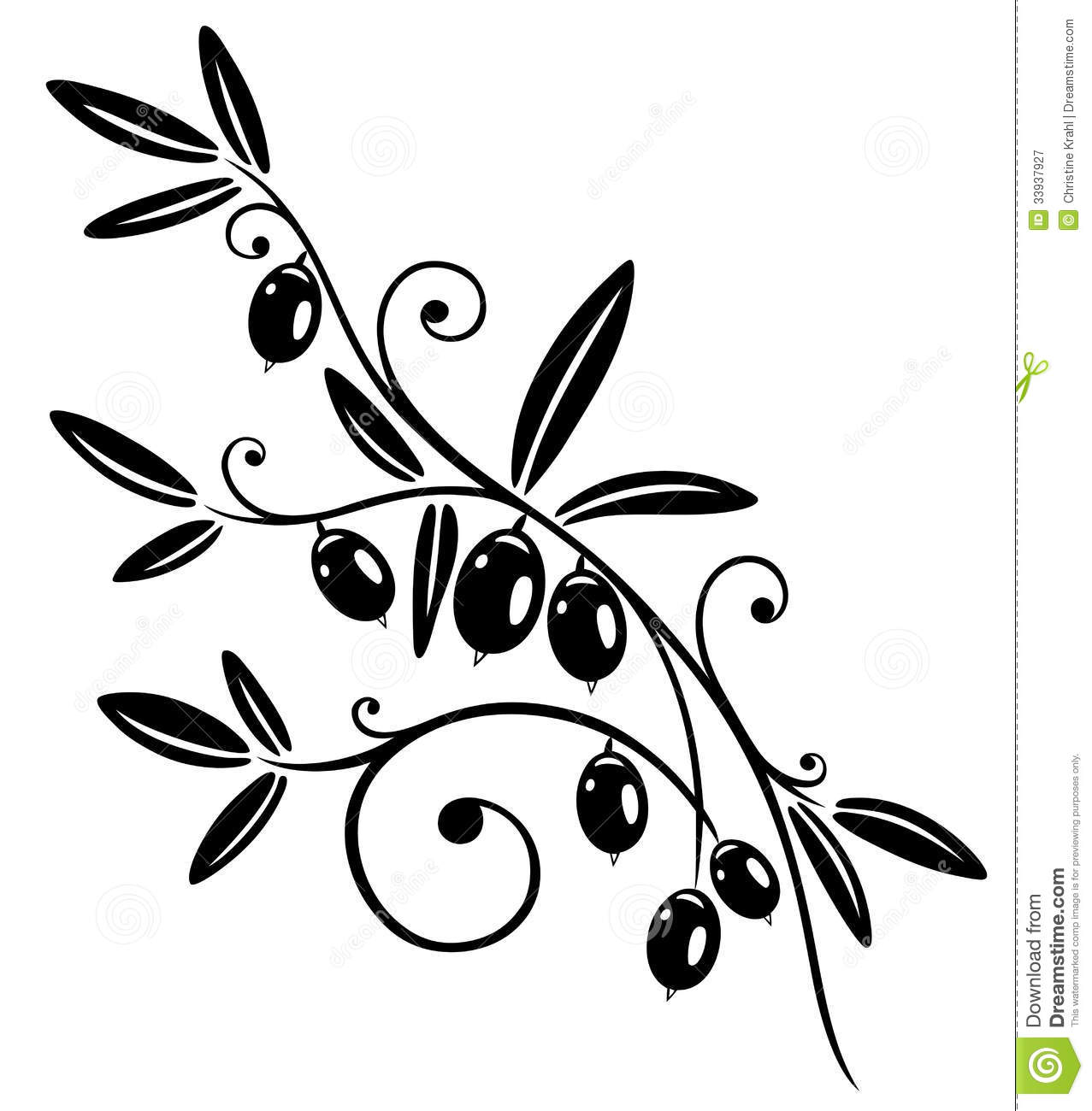 1277x1300 Olive Tree Vector Art