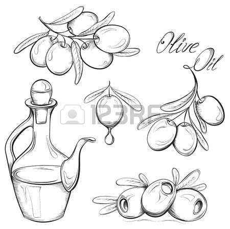450x447 Hand Drawn Olive Set. Olive Oil And Olive Branch. Black And White