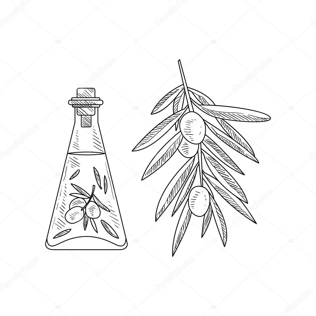1024x1024 Olive Oil In Glass Bottle And Branch Stock Vector Topvectors
