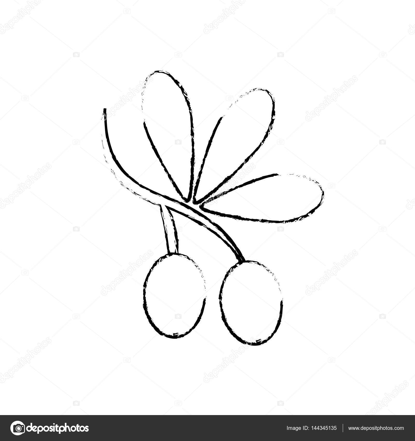 1600x1700 Olive Oil Healthy Food Stock Vector Djv