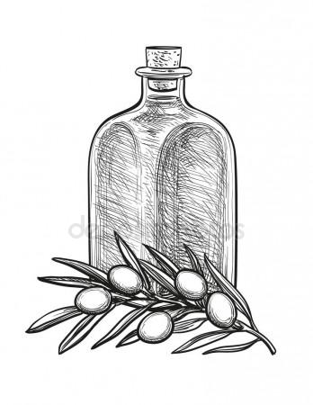 348x450 Bottle Of Olive Oil And Olive Branch. Stock Vector Alhontess