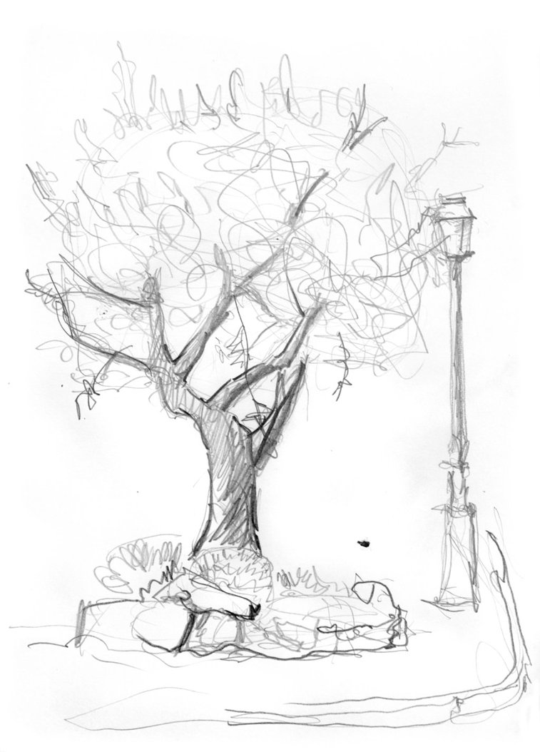 757x1054 Olive Tree In The Street By Stephanusembricanus