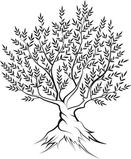 264x320 Olive Tree Outline Silhouette Icon Isolated On Dark Background