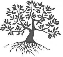 220x198 Z Stock Vector Olive Tree On Vintage Paper