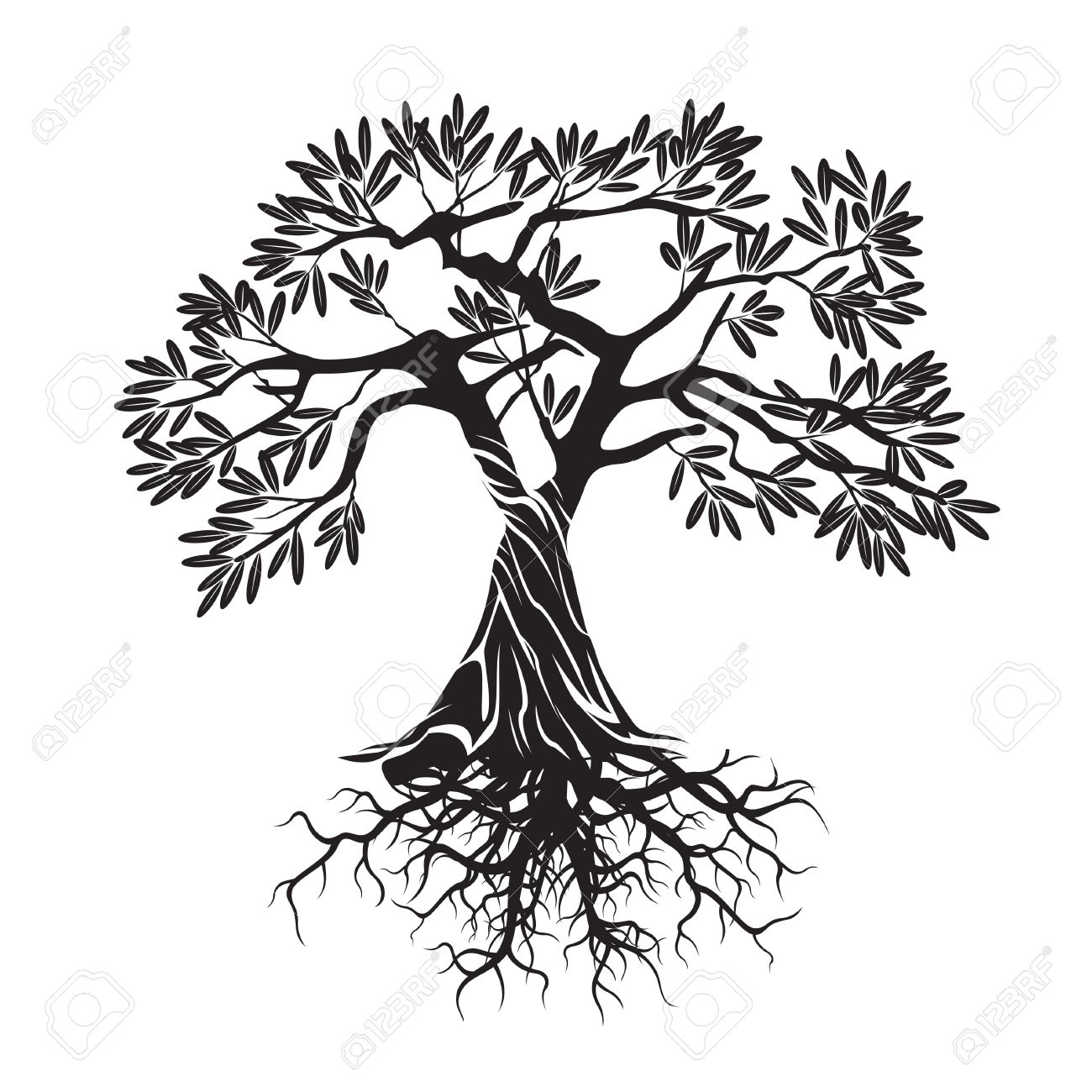 Olive Tree Drawing at GetDrawings | Free download