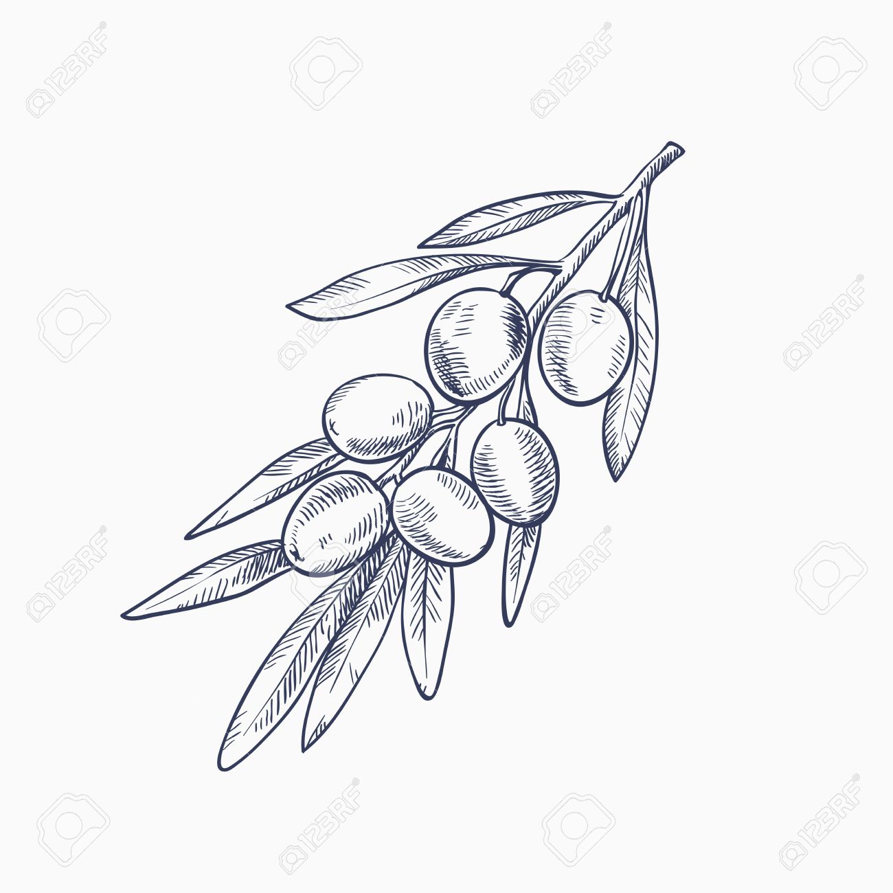 1300x1300 Drawn Branch Sketch