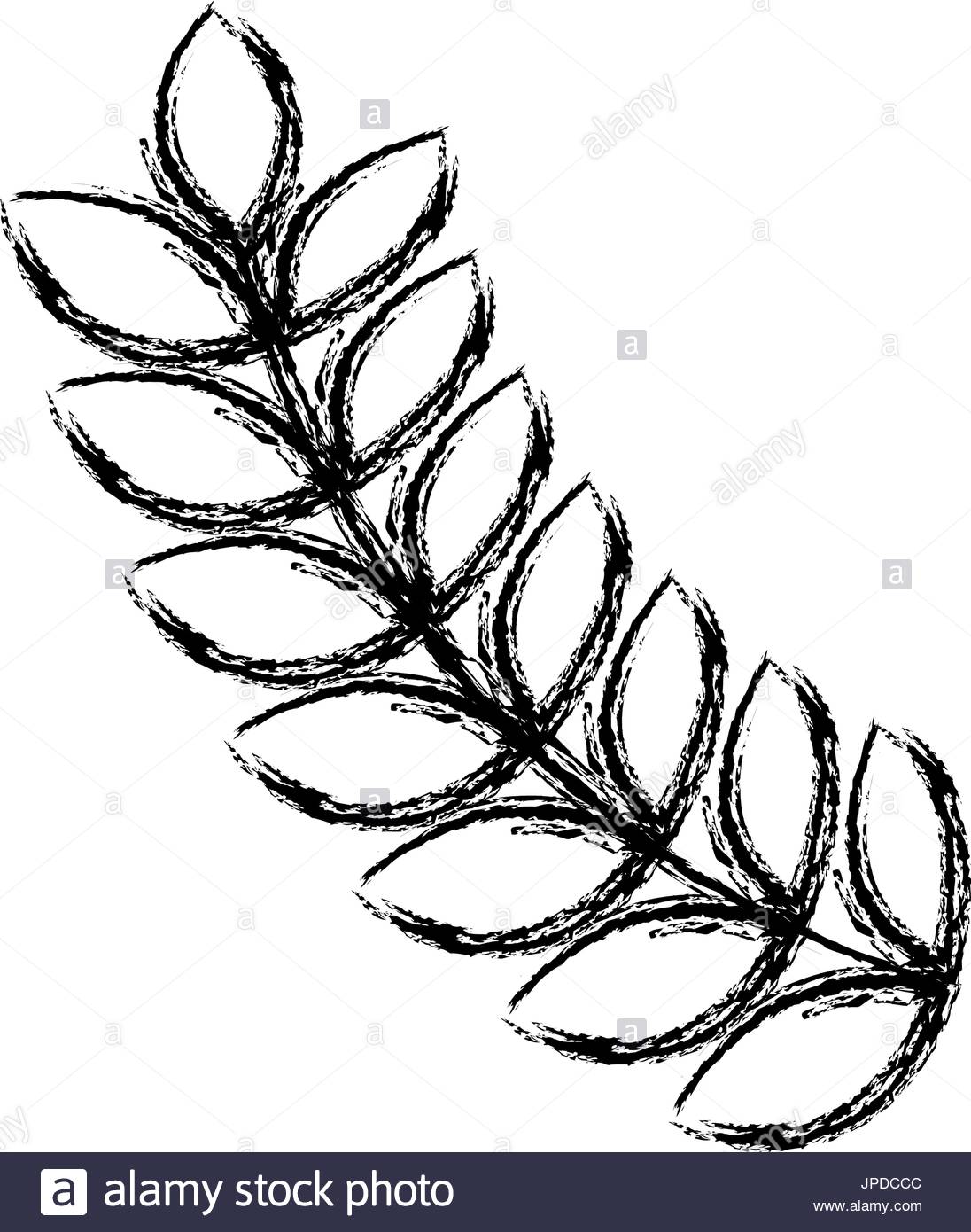 1096x1390 Olive Wreath Stock Photos Amp Olive Wreath Stock Images