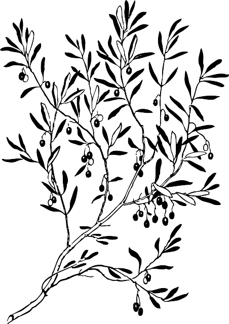452x640 Black, Wreath, Drawing, Sketch, Silhouette, Leaf, Tree The Ark