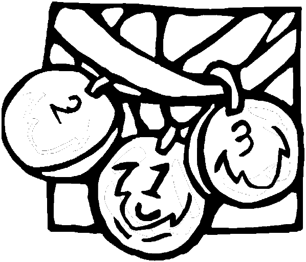 598x512 Olympics Coloring Pages Gold, Silver, Amp Bronze Medals, Olympics