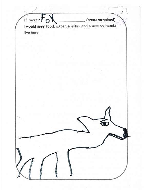 569x737 Drawing On Empathy Center For Humans Amp Nature