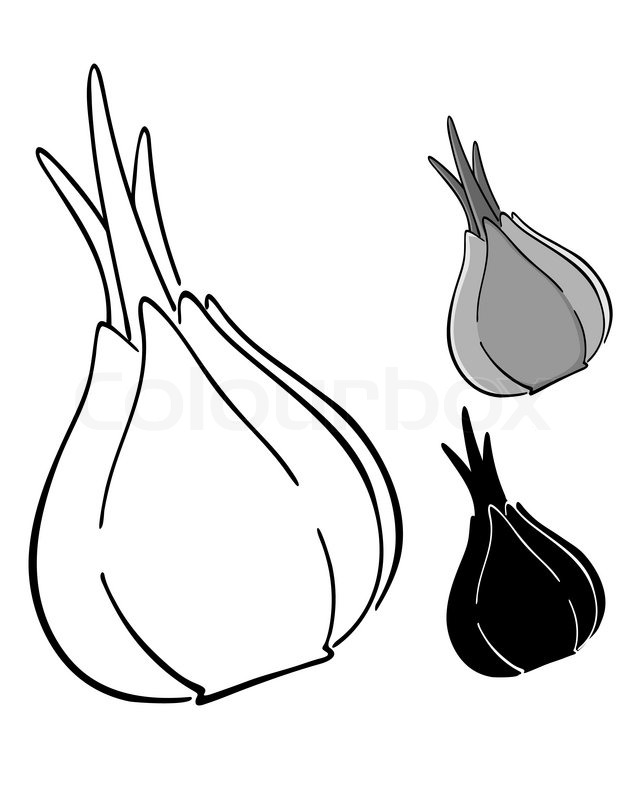 640x800 Onion Silhouette Stock Vector Colourbox