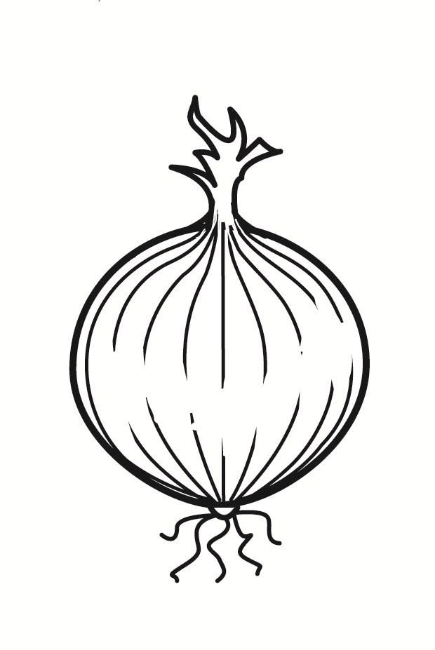 620x927 Coloring Page Onion