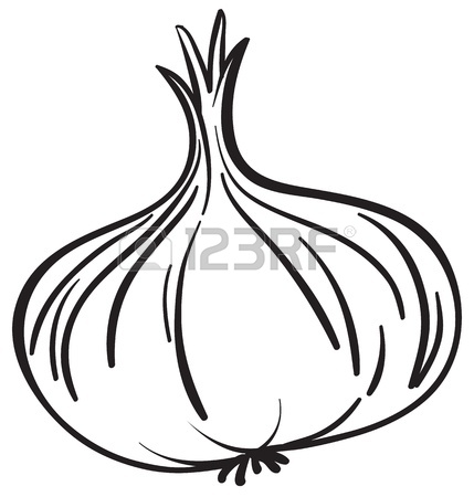 429x450 Vector Stock Of Hand Drawing Vegetable Onion Whole And Sliced